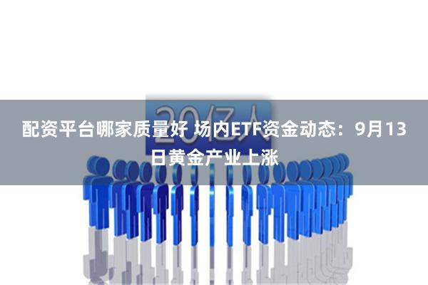 配资平台哪家质量好 场内ETF资金动态：9月13日黄金产业上涨