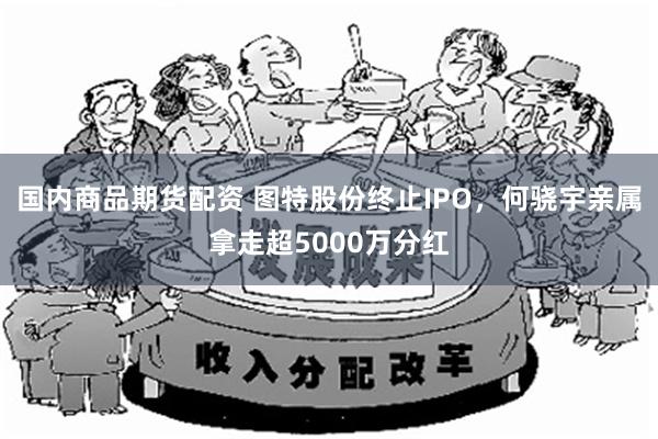 国内商品期货配资 图特股份终止IPO，何骁宇亲属拿走超5000万分红