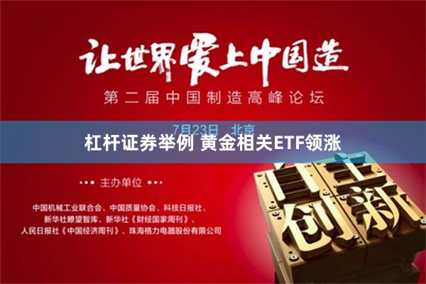 杠杆证券举例 黄金相关ETF领涨