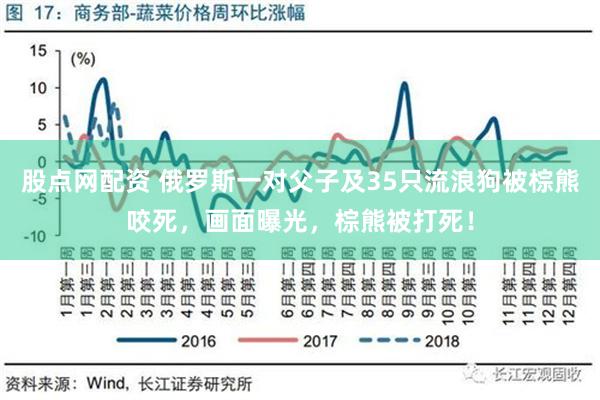 股点网配资 俄罗斯一对父子及35只流浪狗被棕熊咬死，画面曝光，棕熊被打死！