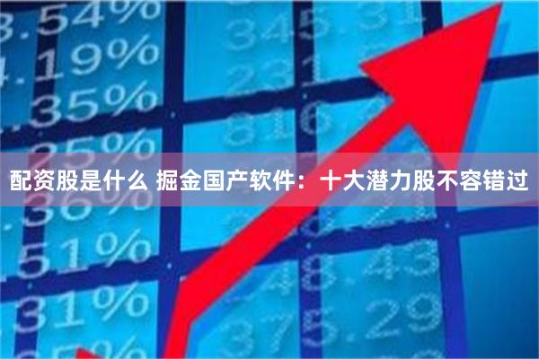 配资股是什么 掘金国产软件：十大潜力股不容错过