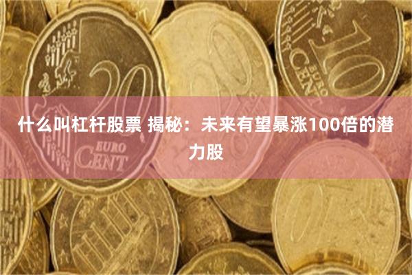 什么叫杠杆股票 揭秘：未来有望暴涨100倍的潜力股