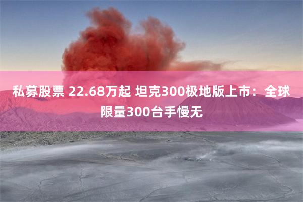 私募股票 22.68万起 坦克300极地版上市：全球限量300台手慢无
